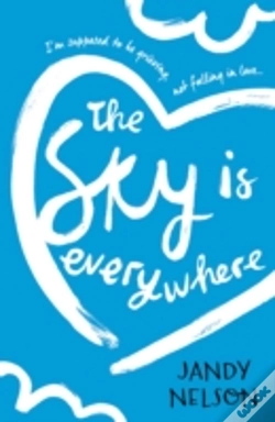 Capa do artigo The Sky Is Everywhere
