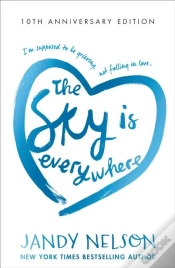 Capa do artigo The Sky Is Everywhere