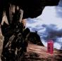 The Sky Moves Sideways - Vinil - Preview