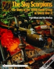 Capa do artigo The Sky Scorpions