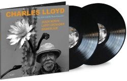 Capa do artigo The Sky Will Still Be There Tomorrow - Vinil