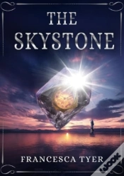 Capa do artigo The Skystone