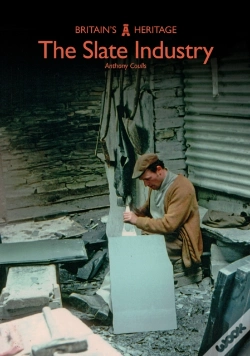 Capa do artigo The Slate Industry