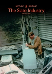 Capa do artigo The Slate Industry