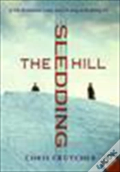 Capa do artigo The Sledding Hill