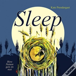 Capa do artigo The Sleep Book
