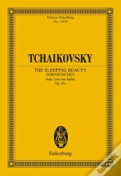 Capa do artigo The Sleeping Beauty