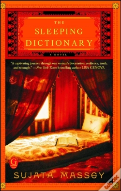 Capa do artigo The Sleeping Dictionary