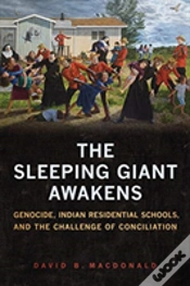 Capa do artigo The Sleeping Giant Awakens