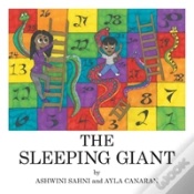 Capa do artigo The Sleeping Giant