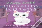 The Sleepover Mystery
