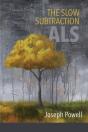 The Slow Subtraction - Preview