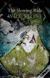 Capa do artigo The Slowing Ride