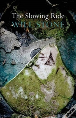 Capa do artigo The Slowing Ride