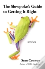 Capa do artigo The Slowpoke