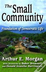 Capa do artigo The Small Community