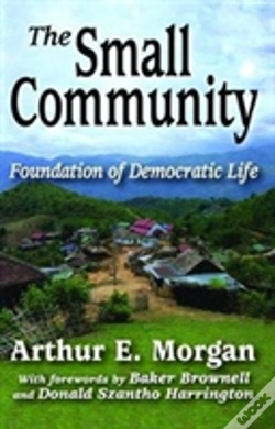 Capa do artigo The Small Community