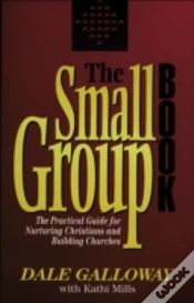 Capa do artigo The Small Group Book