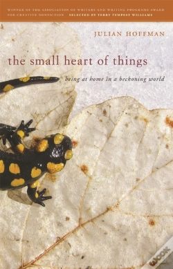 Capa do artigo The Small Heart Of Things