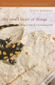 Capa do artigo The Small Heart Of Things