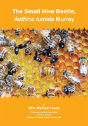 The Small Hive Beetle, Aethina Tumida Murray - Preview