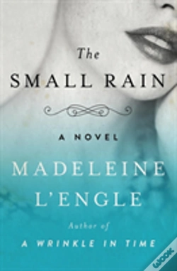 Capa do artigo The Small Rain