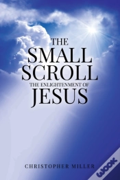 Capa do artigo The Small Scroll