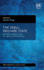 The Small Welfare State - Preview
