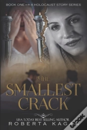 Capa do artigo The Smallest Crack