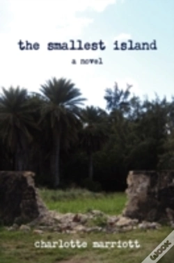 Capa do artigo The Smallest Island