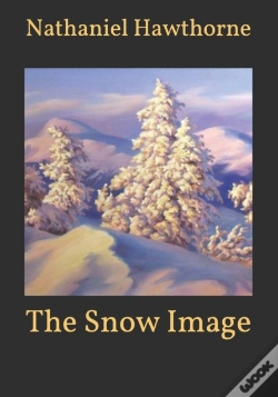 Capa do artigo The Snow Image