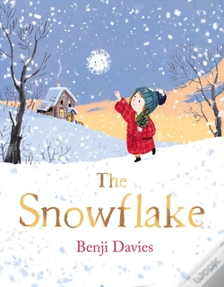 Capa do artigo The Snowflake