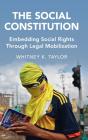 The Social Constitution - Preview