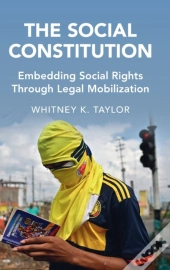 The Social Constitution