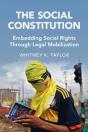 The Social Constitution - Preview