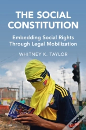 The Social Constitution
