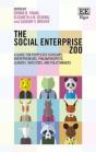 The Social Enterprise Zoo - Preview