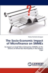 The Socio-Economic Impact Of Microfinance On Smmes