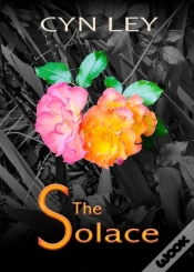 Capa do artigo The Solace