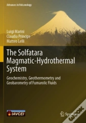 The Solfatara Magmatic-Hydrothermal System
