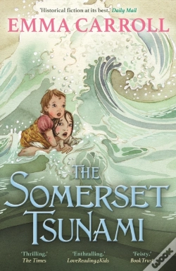 Capa do artigo The Somerset Tsunami