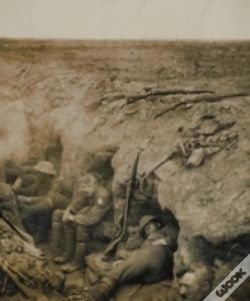 Capa do artigo The Somme