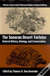 Capa do artigo The Sonoran Desert Tortoise