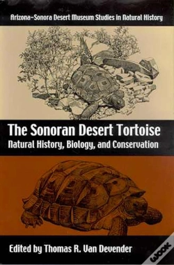 Capa do artigo The Sonoran Desert Tortoise