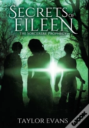 Capa do artigo The Sorcerers