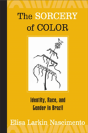 The Sorcery Of Color - Preview
