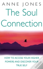 Capa do artigo The Soul Connection