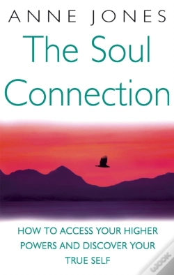 Capa do artigo The Soul Connection