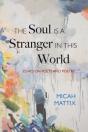 The Soul Is A Stranger In This World - Preview