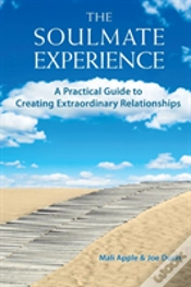 Capa do artigo The Soulmate Experience